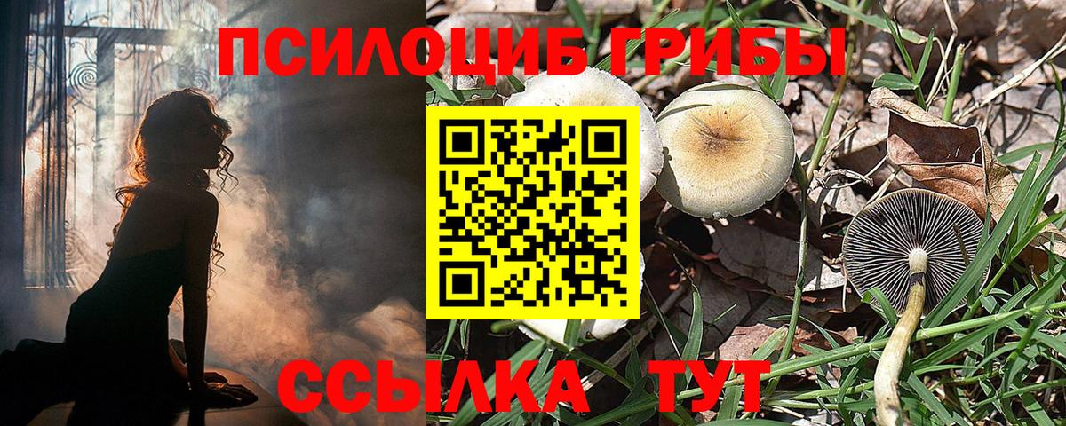 Псилоцибиновые грибы ЛСД Ставрополь